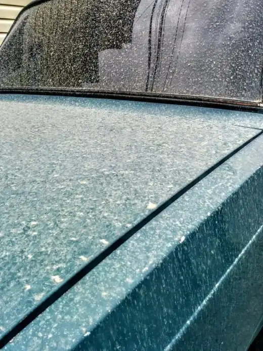 В Сочи прошел грязевой дождь