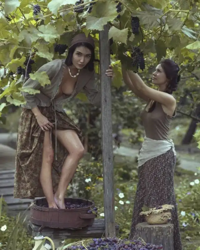 Настала пора собирать урожай