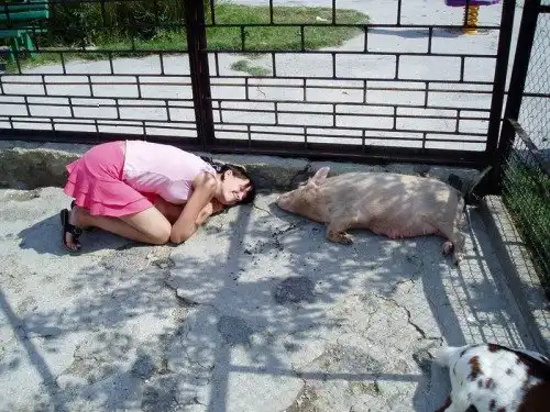 Скотсети и прочие интернеты