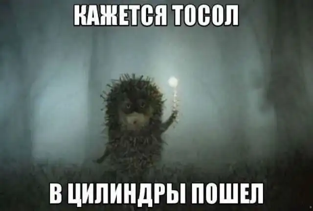 Смешные картинки с подписями