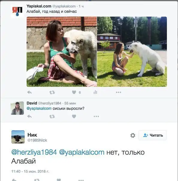 Смешные комментарии из социальных сетей