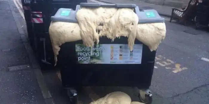 Фотографии, доказывающие: всего должно быть в меру