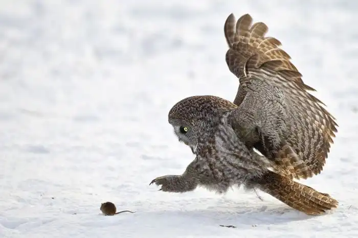 Снимки, сделанные за секунду до...