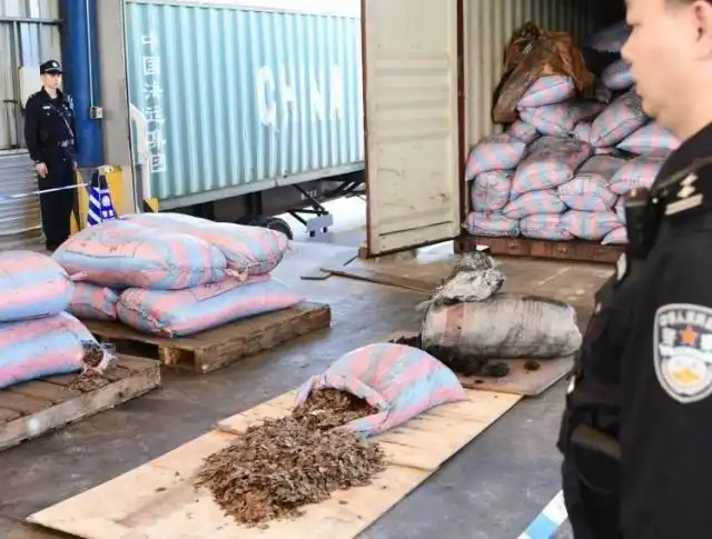 В Китае у браконьеров изъяли 12 тонн чешуи панголинов