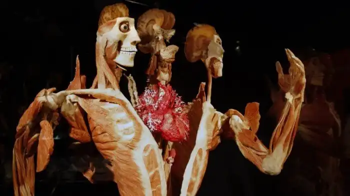 Что будет с вами после смерти, если вы решите завещать свое тело науке?