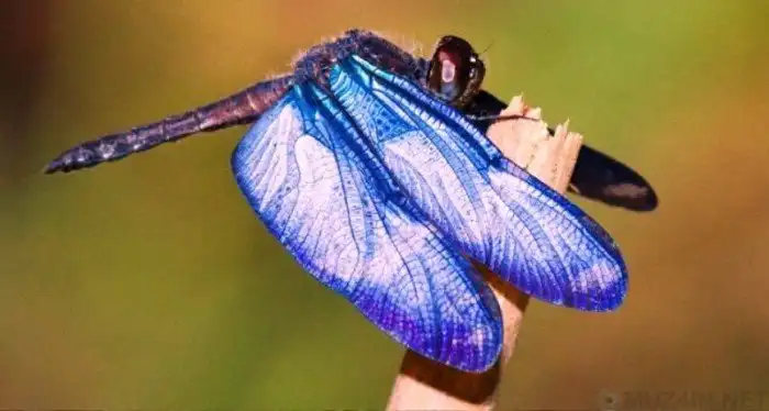 Научные открытия 2017 года