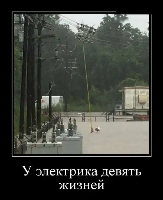 Демотиваторы (30.01.18)