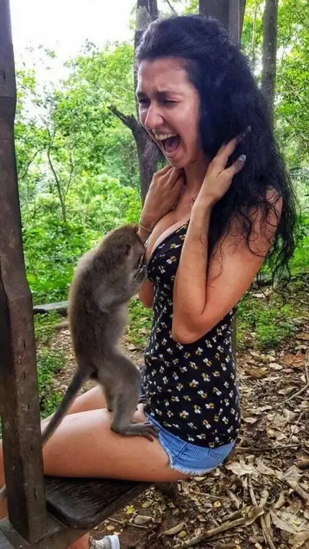 Прикольные картинки абавсём:D (30.01.18)