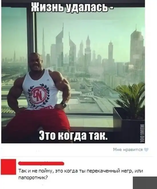 Смешные комментарии из социальных сетей