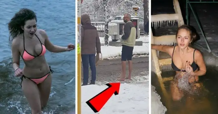 Самые харизматичные моржи зимы 2018