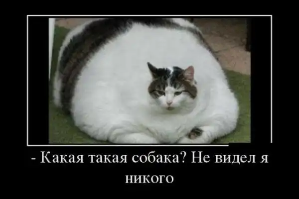 Немного черного юмора