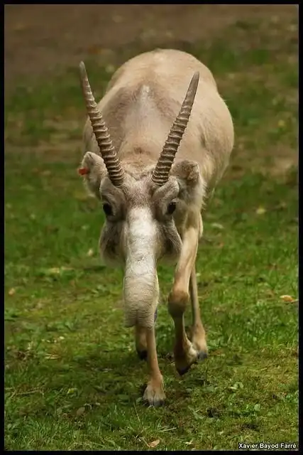 ПОЗИТИВНЫЙ ПОСТ+714