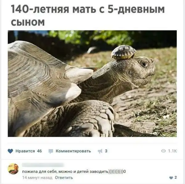 Смешные комментарии из социальных сетей