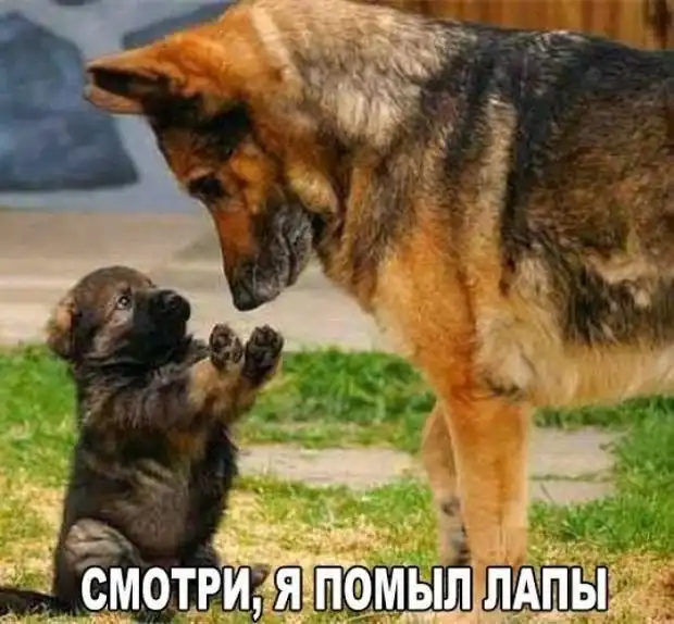 Прикольные картинки с текстом