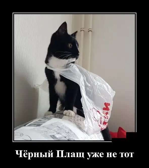 Демотиваторы (22.02.18)