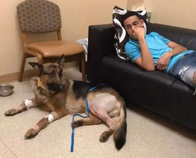 Верный защитник из городка Де-Мойна