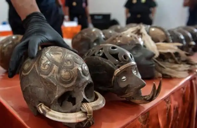 Человеческий череп как предмет контрабанды