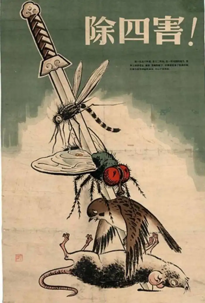 Птичий геноцид. Как природа отомстила китайцам за воробьев