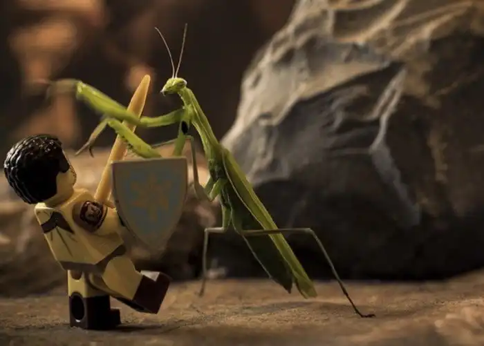 Фотограф снимает сценки с фигурками LEGO и насекомыми