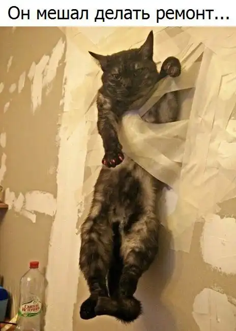 ПРИКОЛЬНЫЕ КАРТИНКИ # 32