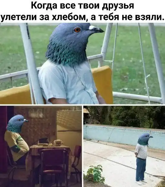 Смешные картинки с подписями