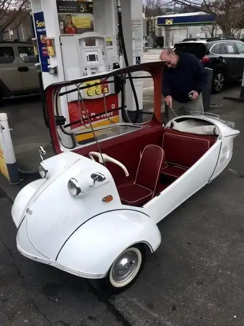 Автовсячина