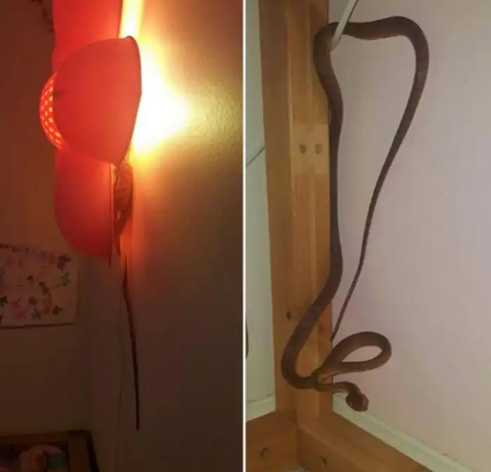 Путешествие в Австралию отменяется