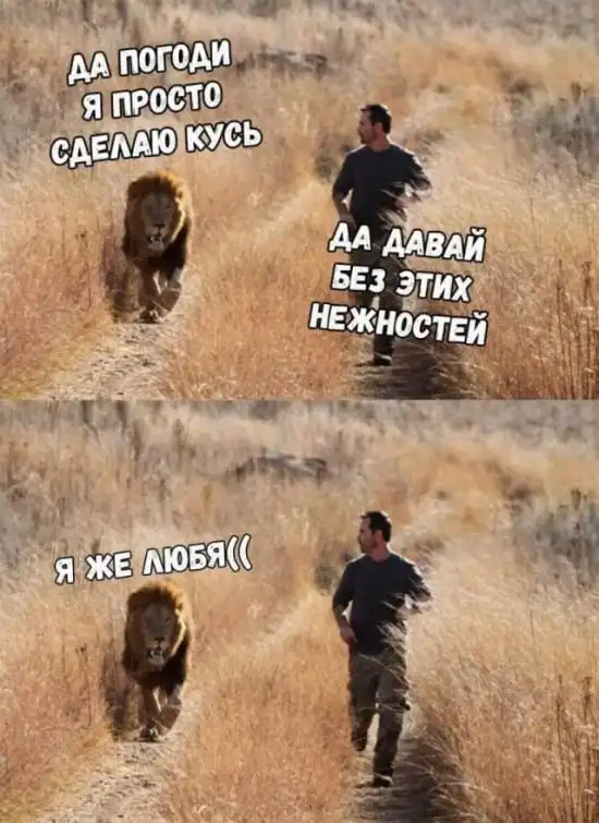 Смешные картинки с подписями