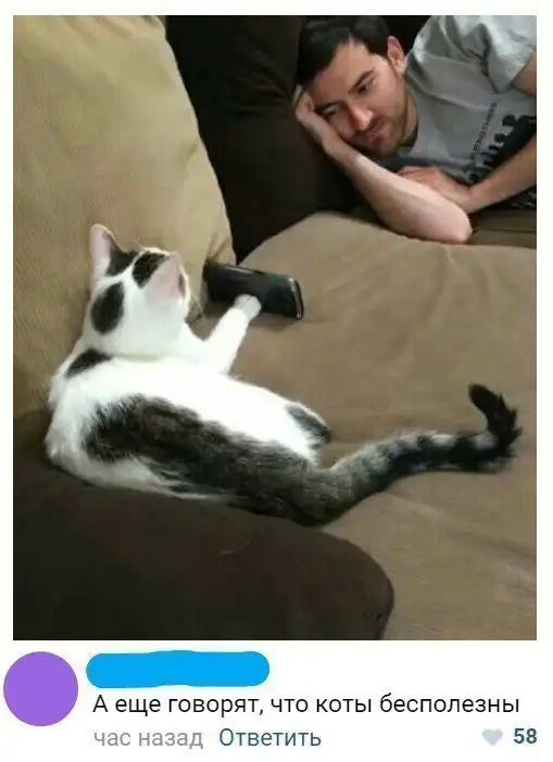 Смешные комментарии из социальных сетей