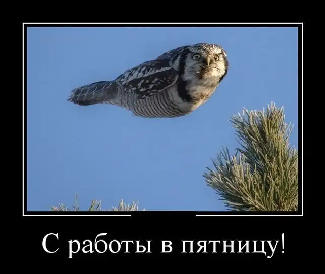 Демотиваторы (02.04.18)