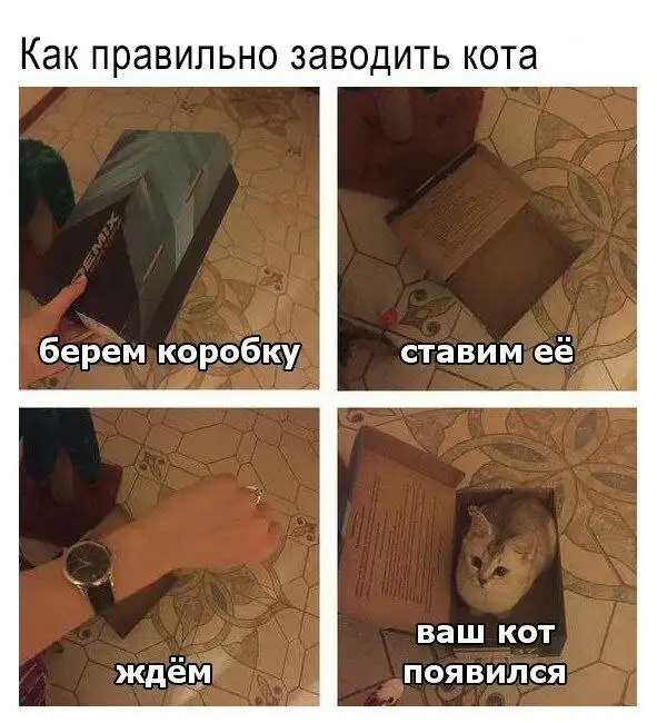 Нестандартный юмор :)