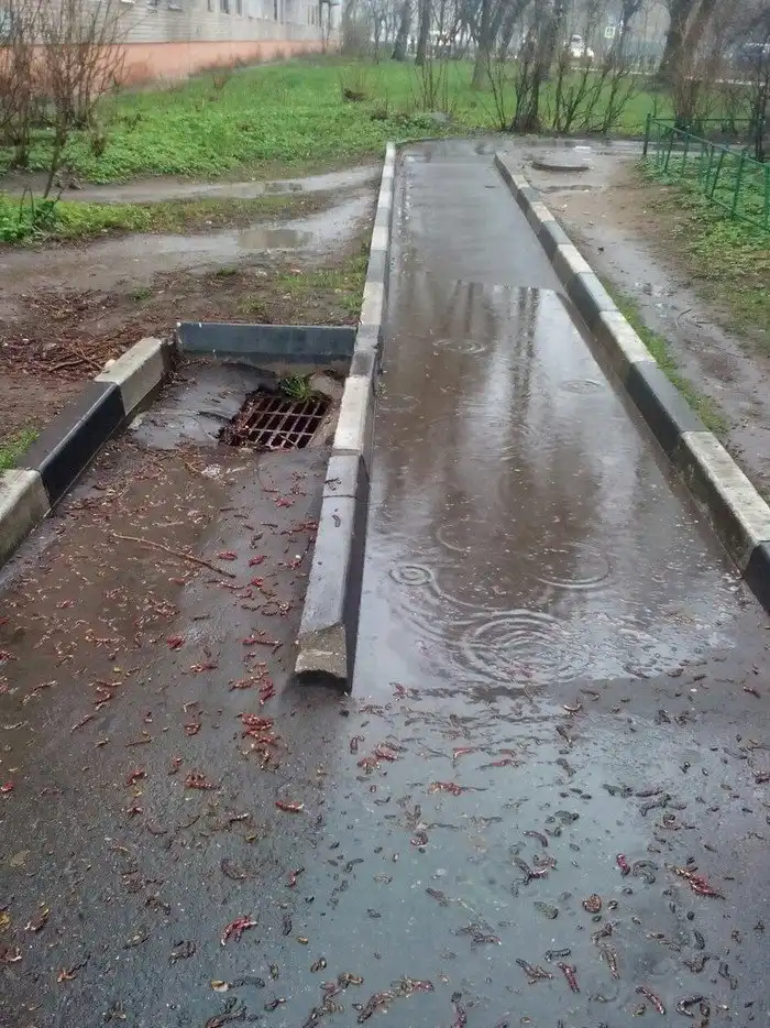 "Дорожник" — человек, делающий кое-что непонятно зачем в дождливую погоду*