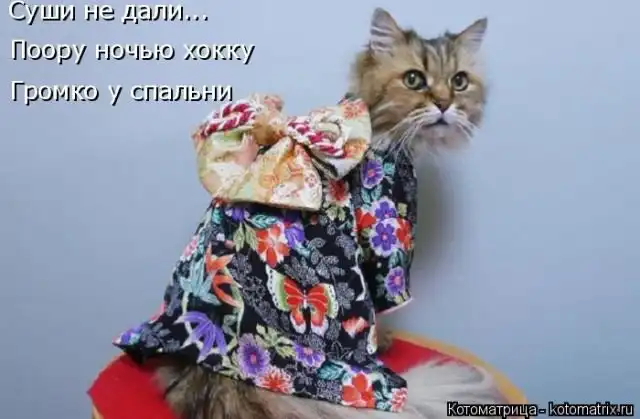 Лучшие котоматрицы недели