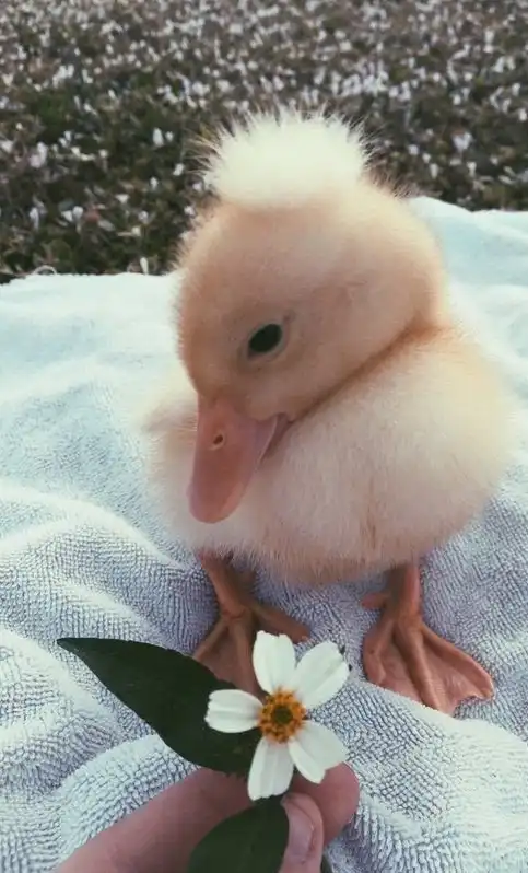 Картинки всяческие. 14 мая 2018.