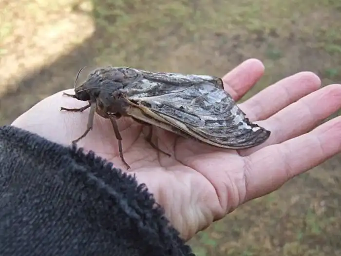 Так выглядят обычные будни в Австралии