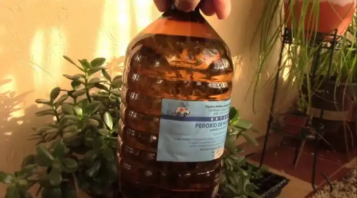 Использование перекиси водорода в быту