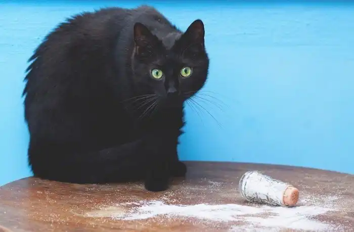 Зачем некоторые люди рассыпают соль на пороге?