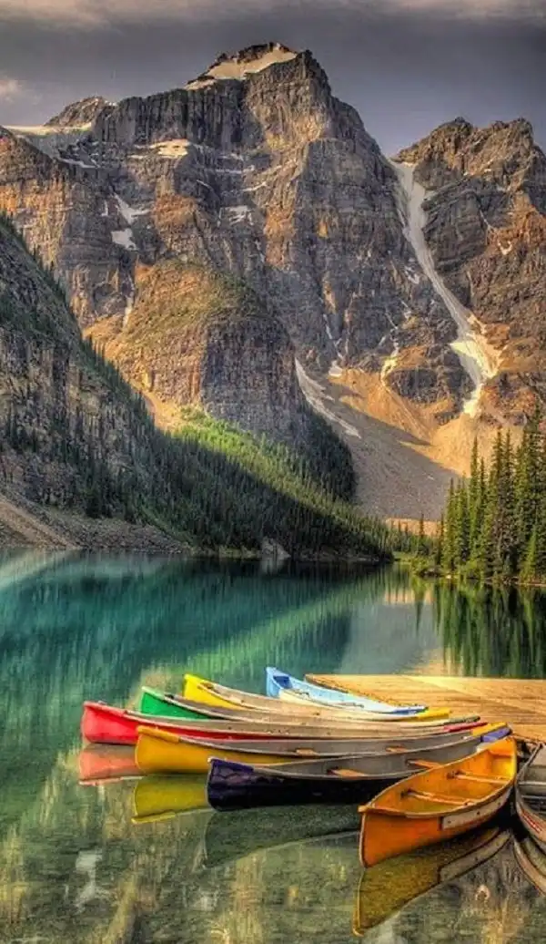 Природа, горы, лес