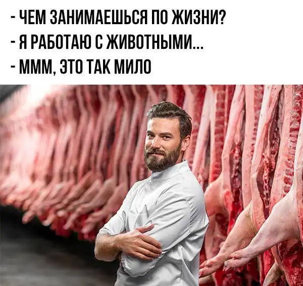 Немного картинок