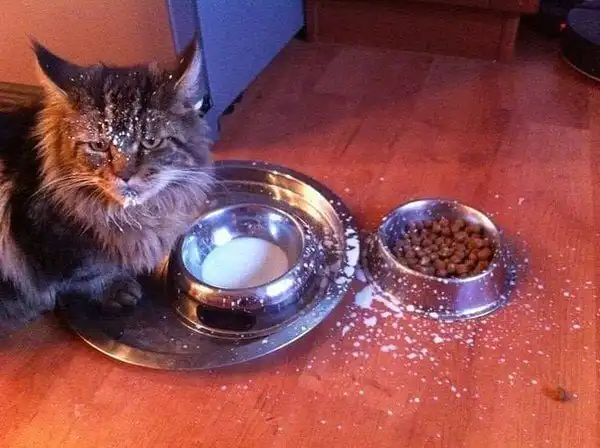 25 странных фотографий, которые вызывают много вопросов