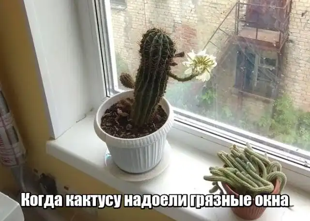Подборка картинок | uCrazy.org