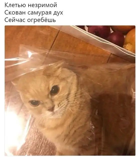 Смешные картинки