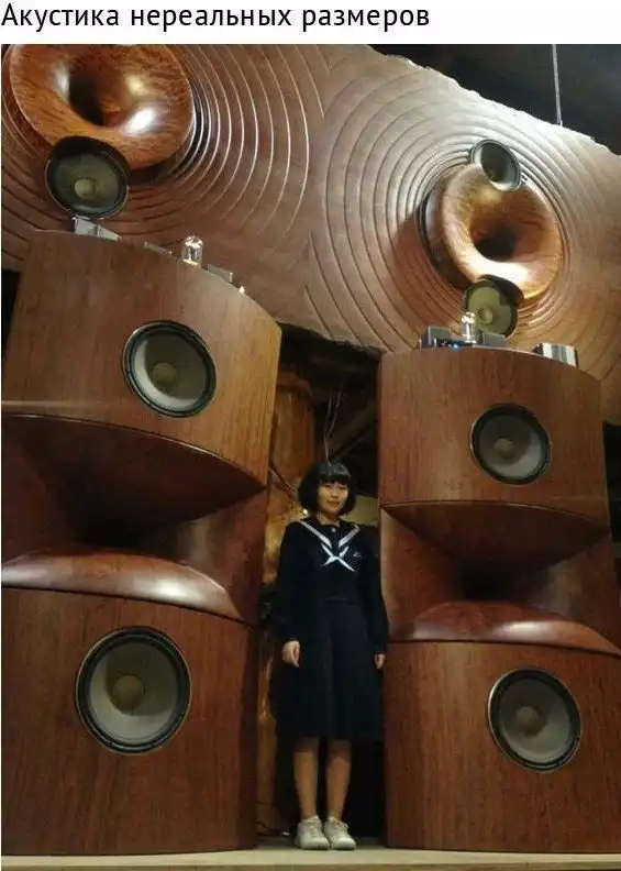 Краткие факты