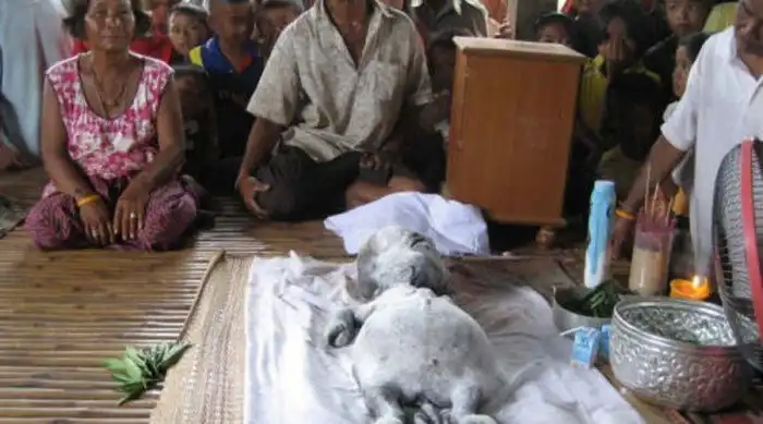 Ужасающие неизвестные науке создания