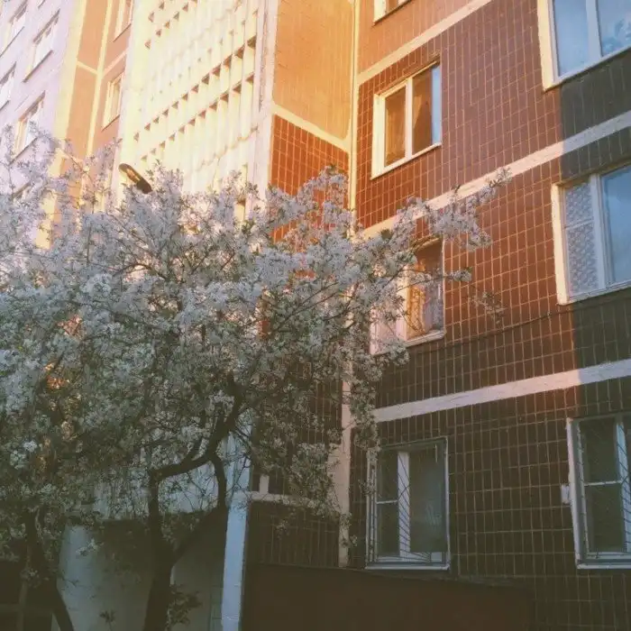 Эстетика советских «панелек»