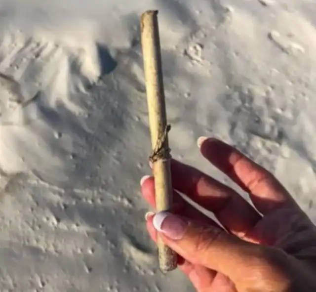 Старейшая в мире записка в бутылке, обнаруженная спустя 131 год