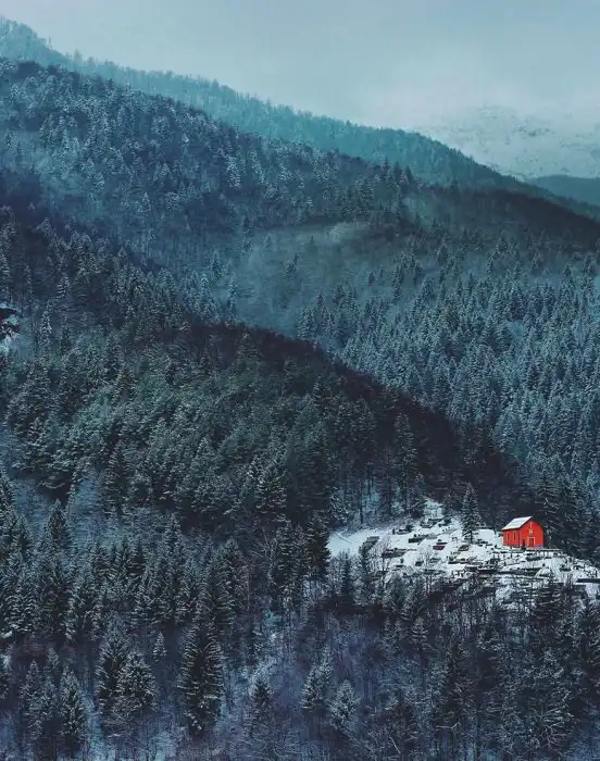 Удивительные фотографии домов, затерянных в лесах