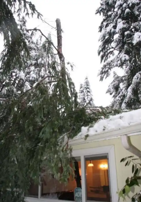 Подборка везунчиков или люди, которые просто чудом остались в живых