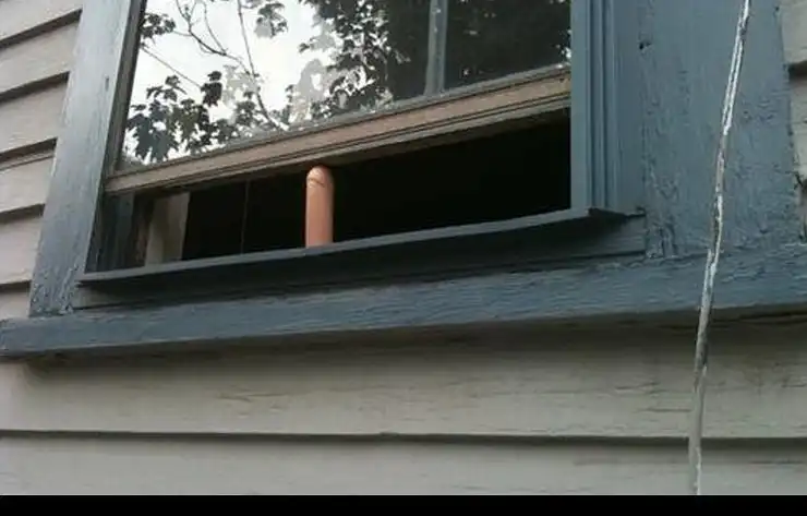 Два десятка необычных применений фаллоса, о которых все молчат