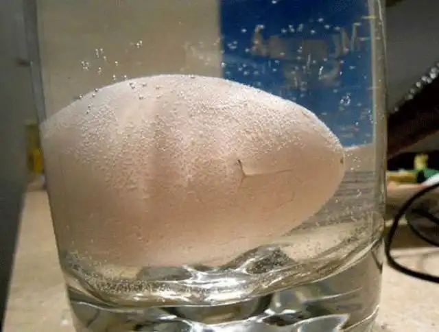 Странная игрушка: "Вырасти ребенка"